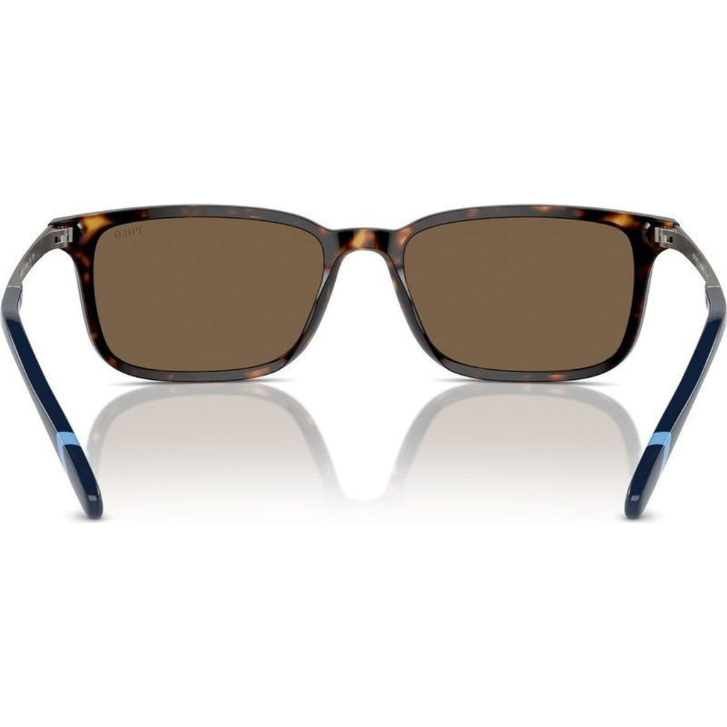 PH4212, Shiny Dark Havana/Brown Lenses