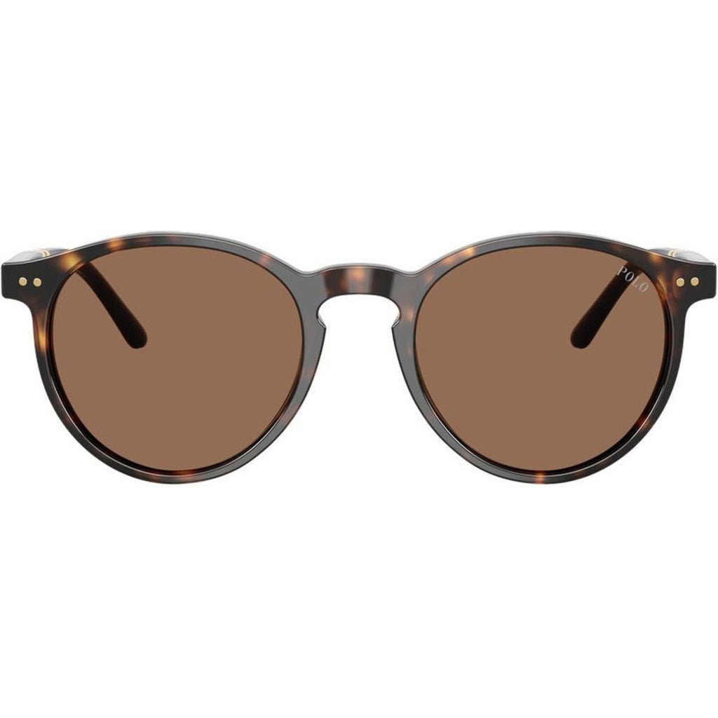 PH4236, Shiny Dark Havana/Brown Lenses