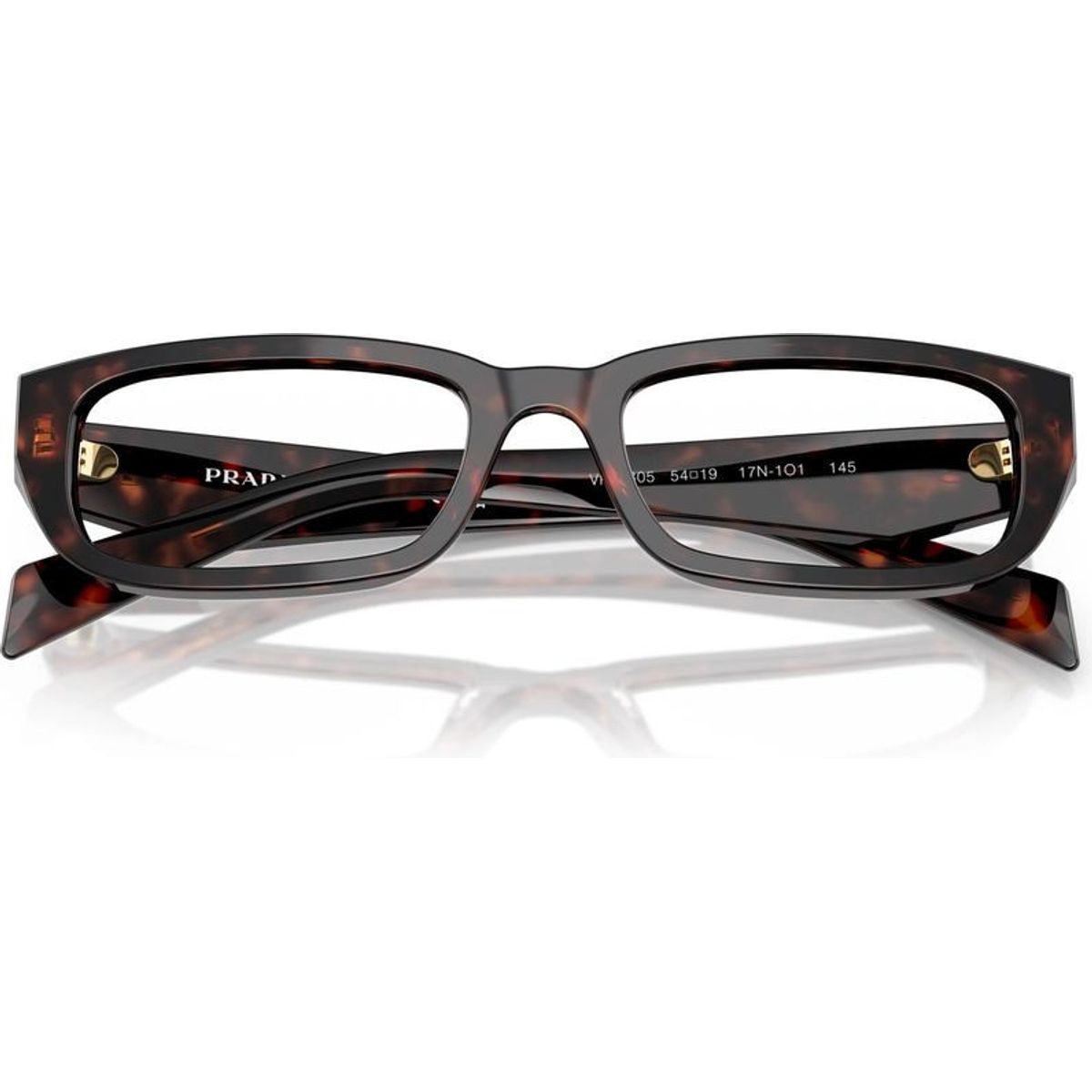 PRB05V, Root Tortoise/Clear Lenses 54 Eye Size