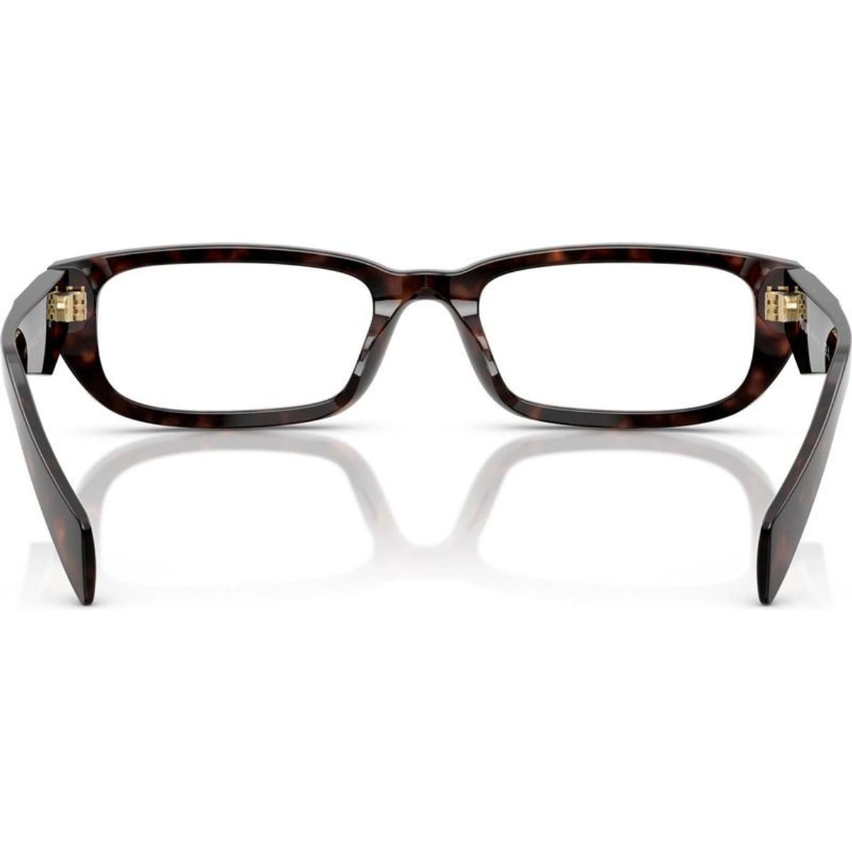 PRB05V, Root Tortoise/Clear Lenses 54 Eye Size