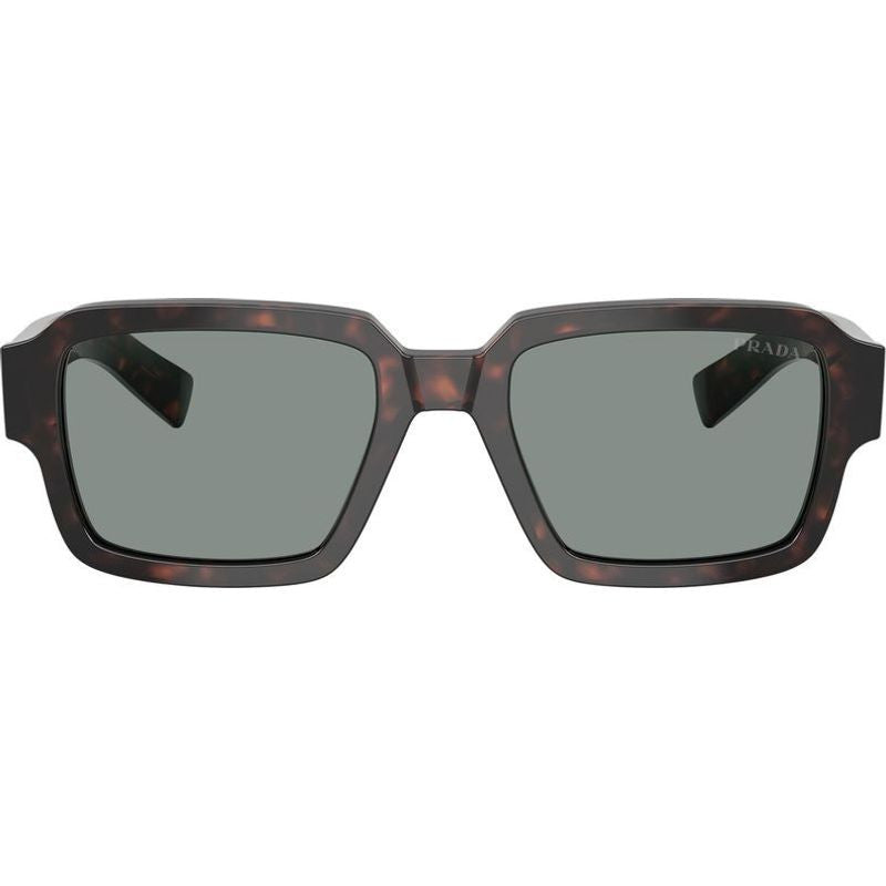PR02ZS, Root Tortoise/Blue Glass Lenses