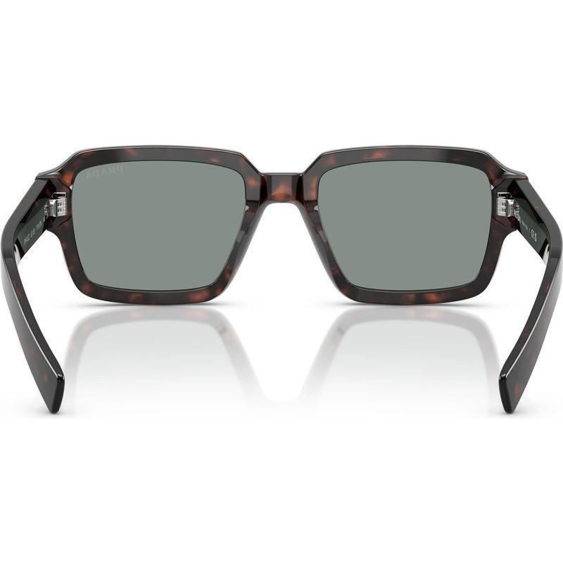 PR02ZS, Root Tortoise/Blue Glass Lenses