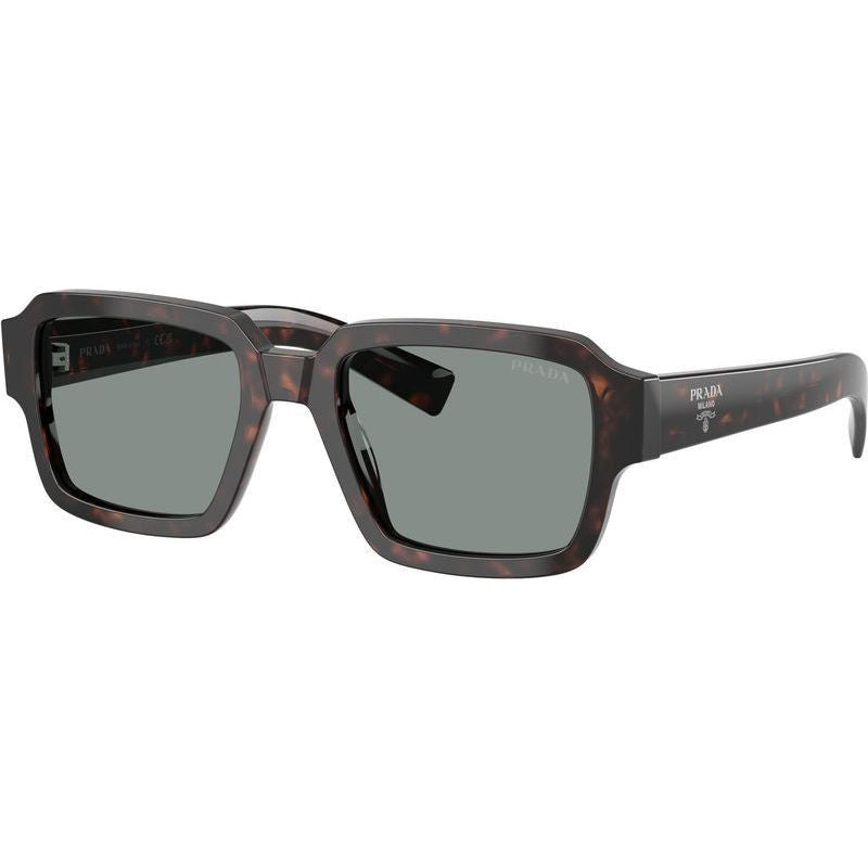 PR02ZSF, Root Tortoise/Blue Glass Lenses