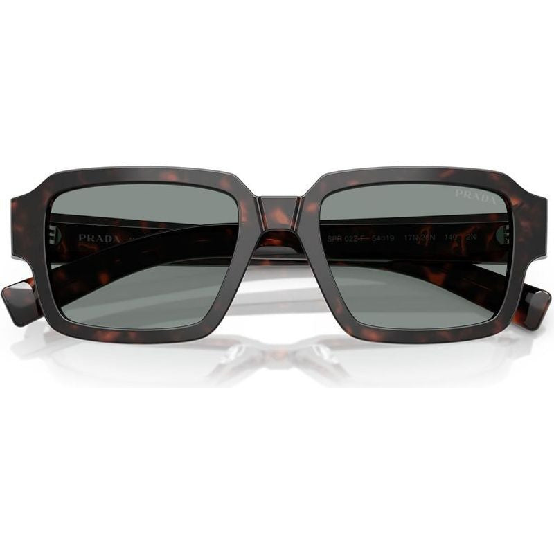 PR02ZSF, Root Tortoise/Blue Glass Lenses