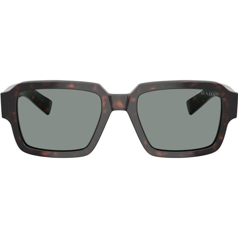PR02ZSF, Root Tortoise/Blue Glass Lenses