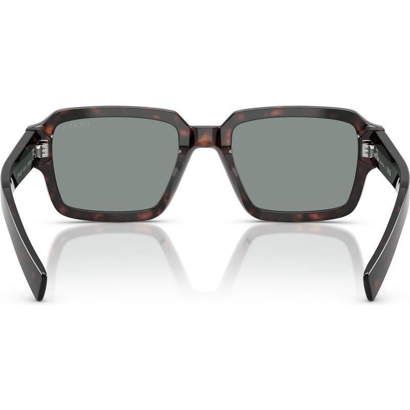 PR02ZSF, Root Tortoise/Blue Glass Lenses
