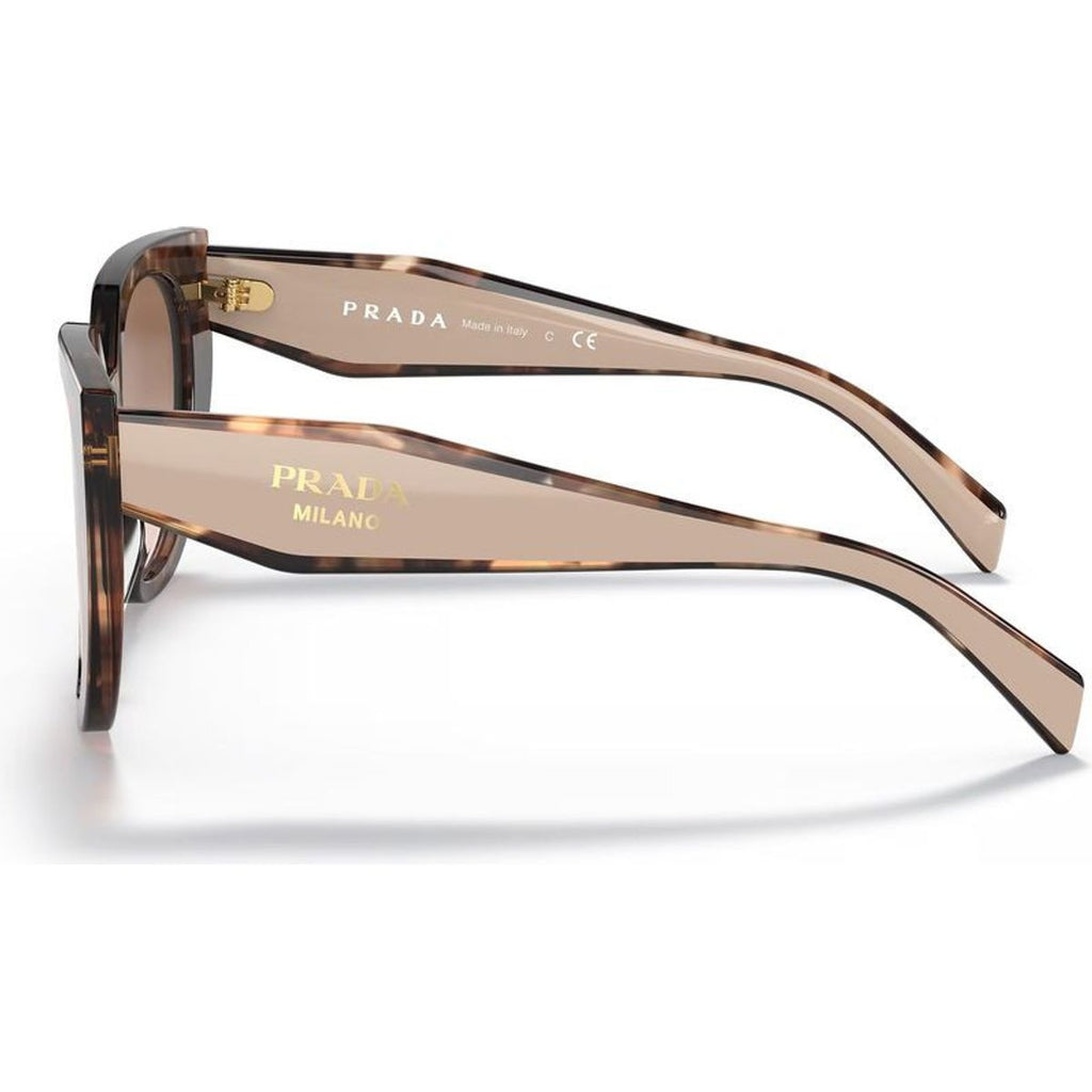 PR14WS, Caramel Tortoise and Powder/Brown Gradient Lenses