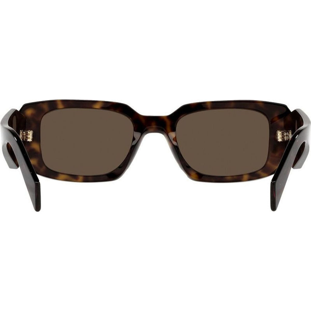 PR17WS, Tortoise/Brown Lenses
