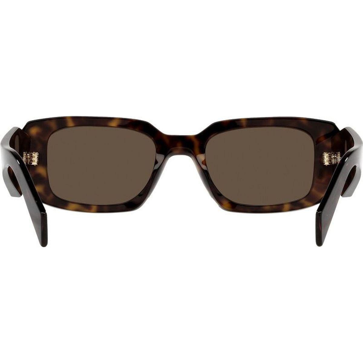 PR17WS, Tortoise/Brown Lenses