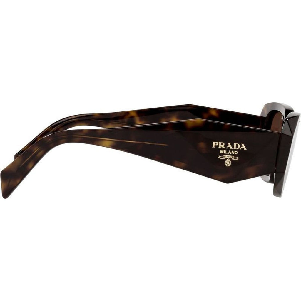 PR17WS, Tortoise/Brown Lenses
