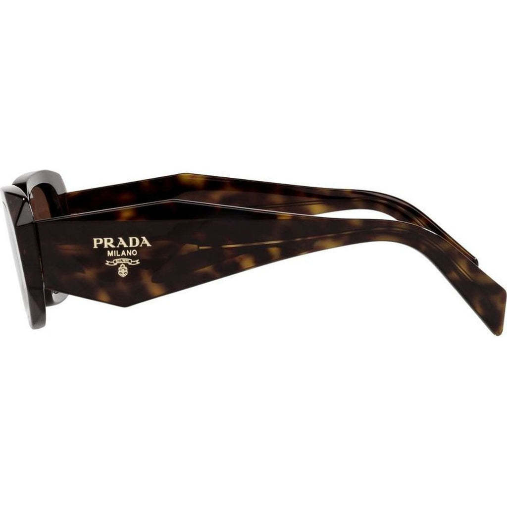 PR17WS, Tortoise/Brown Lenses