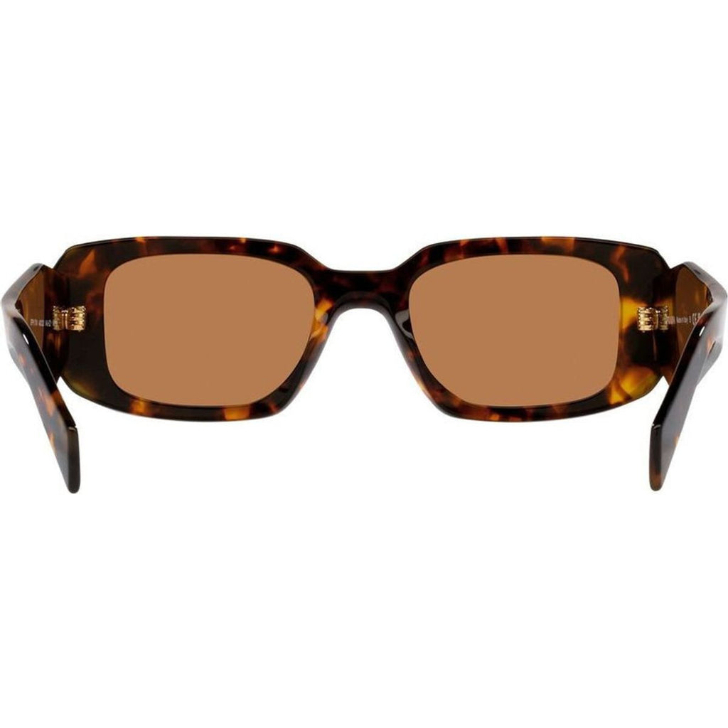 PR17WSF, Honey Tortoise/Dark Brown Lenses