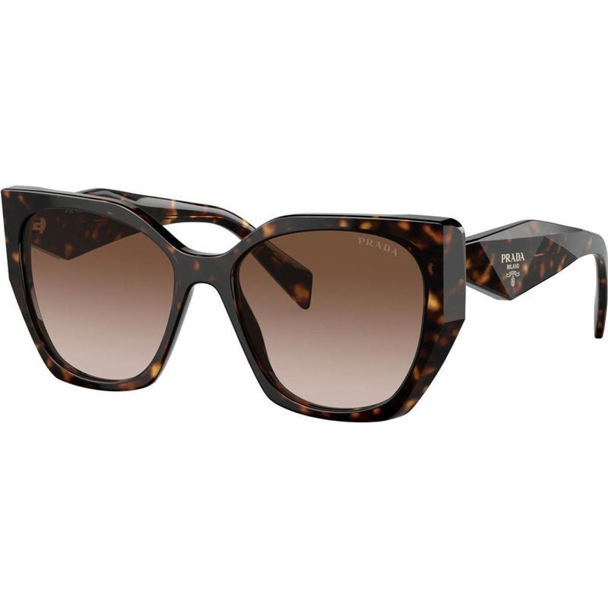 PR19ZS, Tortoise/Brown Gradient Lenses