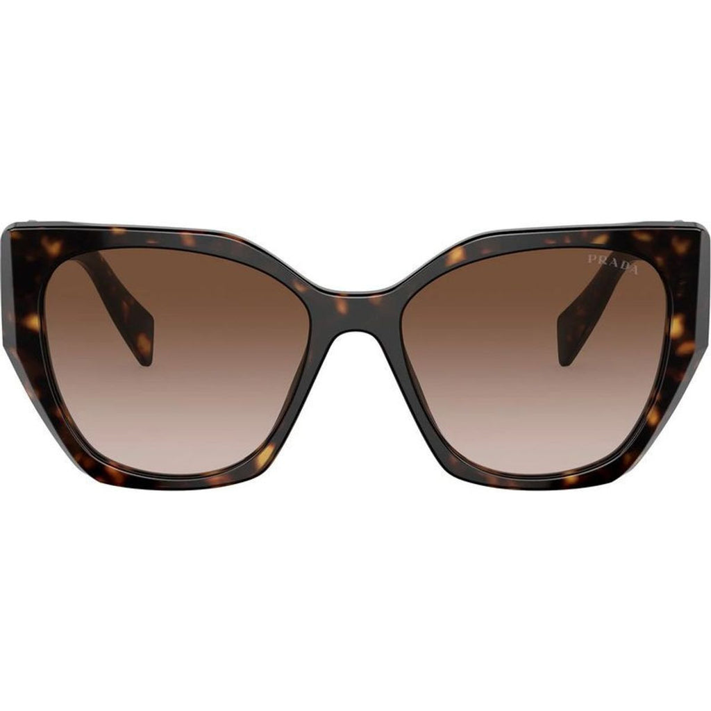 PR19ZS, Tortoise/Brown Gradient Lenses