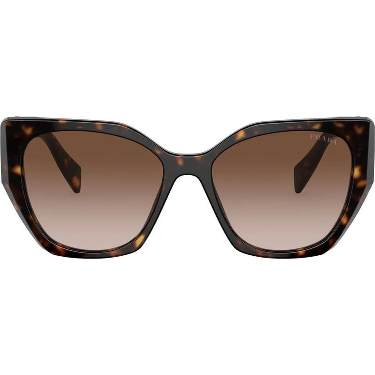 PR19ZS, Tortoise/Brown Gradient Lenses