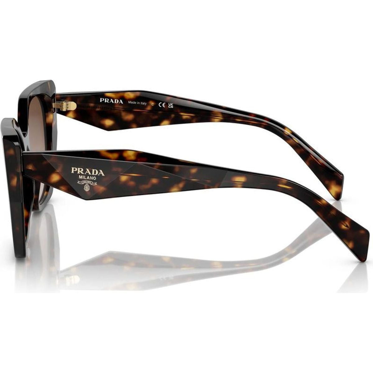PR19ZS, Tortoise/Brown Gradient Lenses