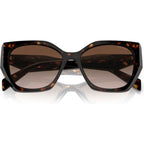PR19ZSF, Tortoise/Brown Gradient Lenses