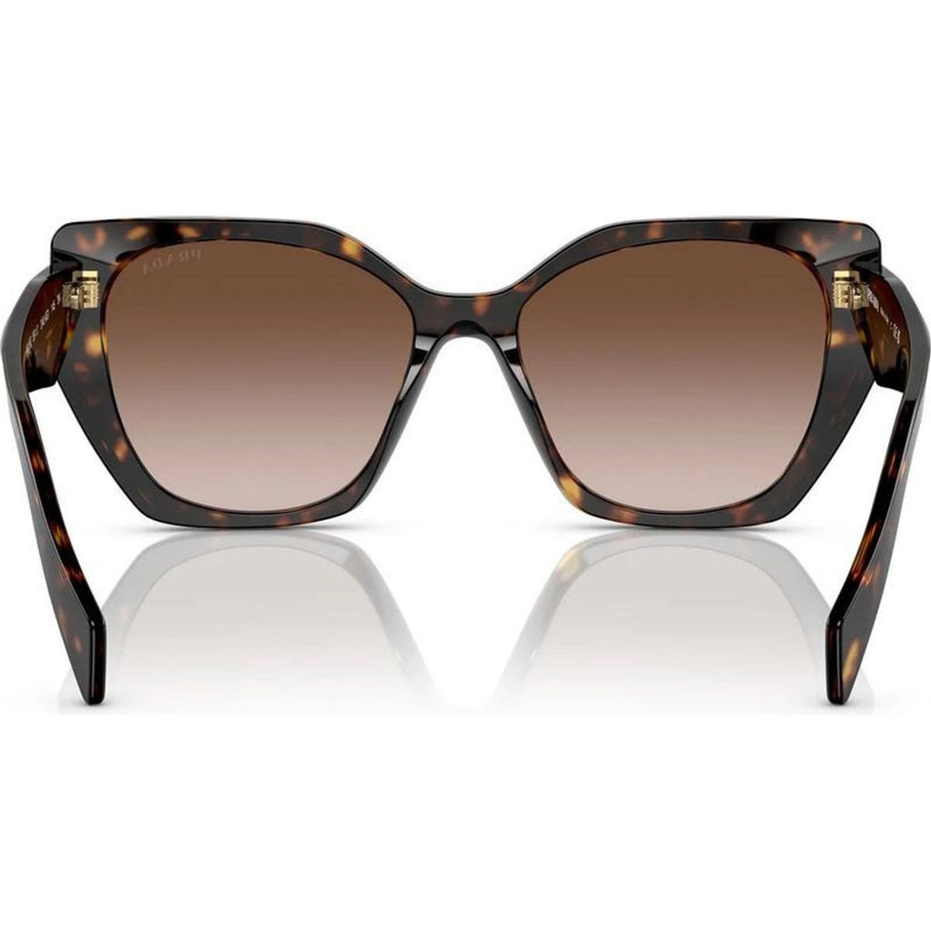 PR19ZSF, Tortoise/Brown Gradient Lenses