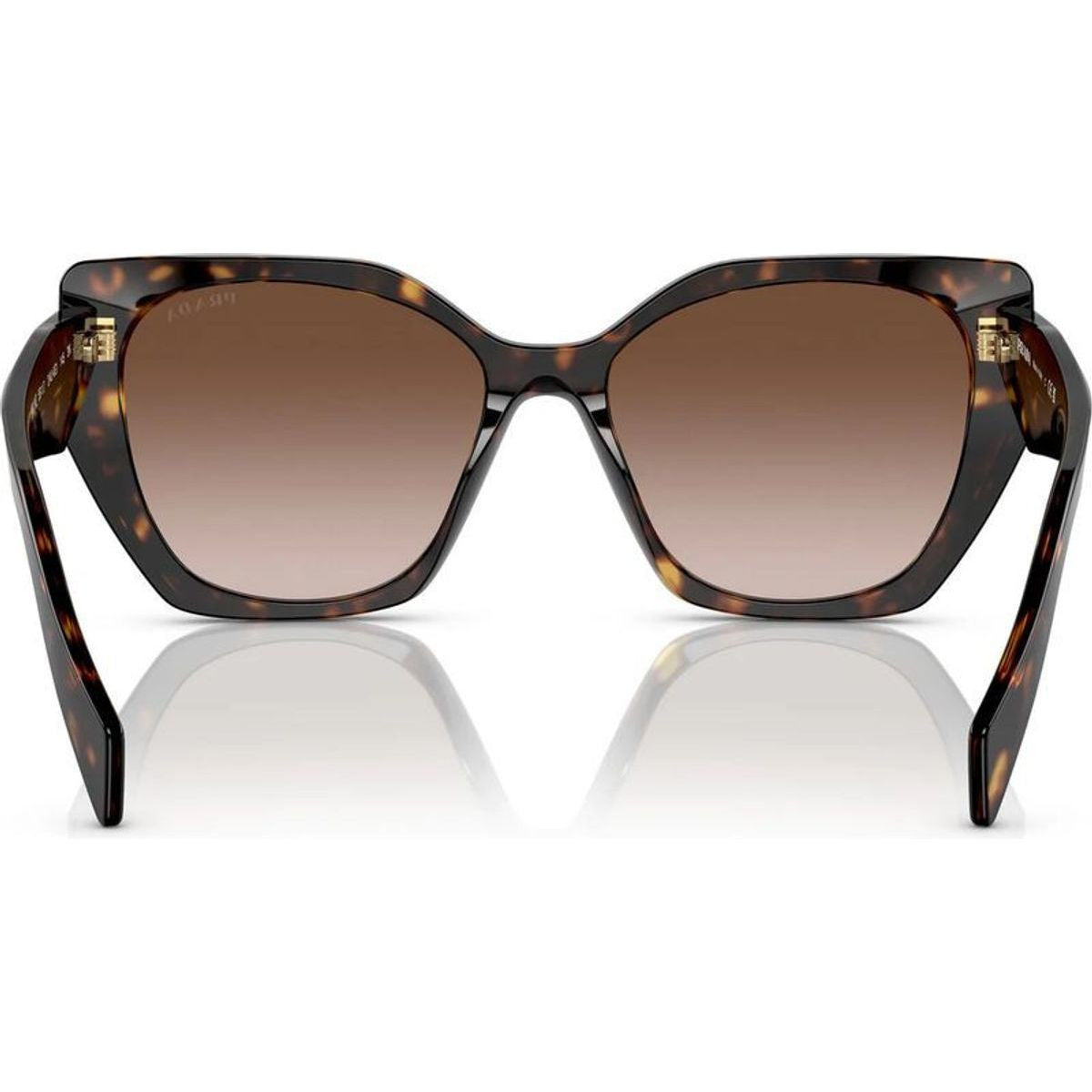 PR19ZSF, Tortoise/Brown Gradient Lenses
