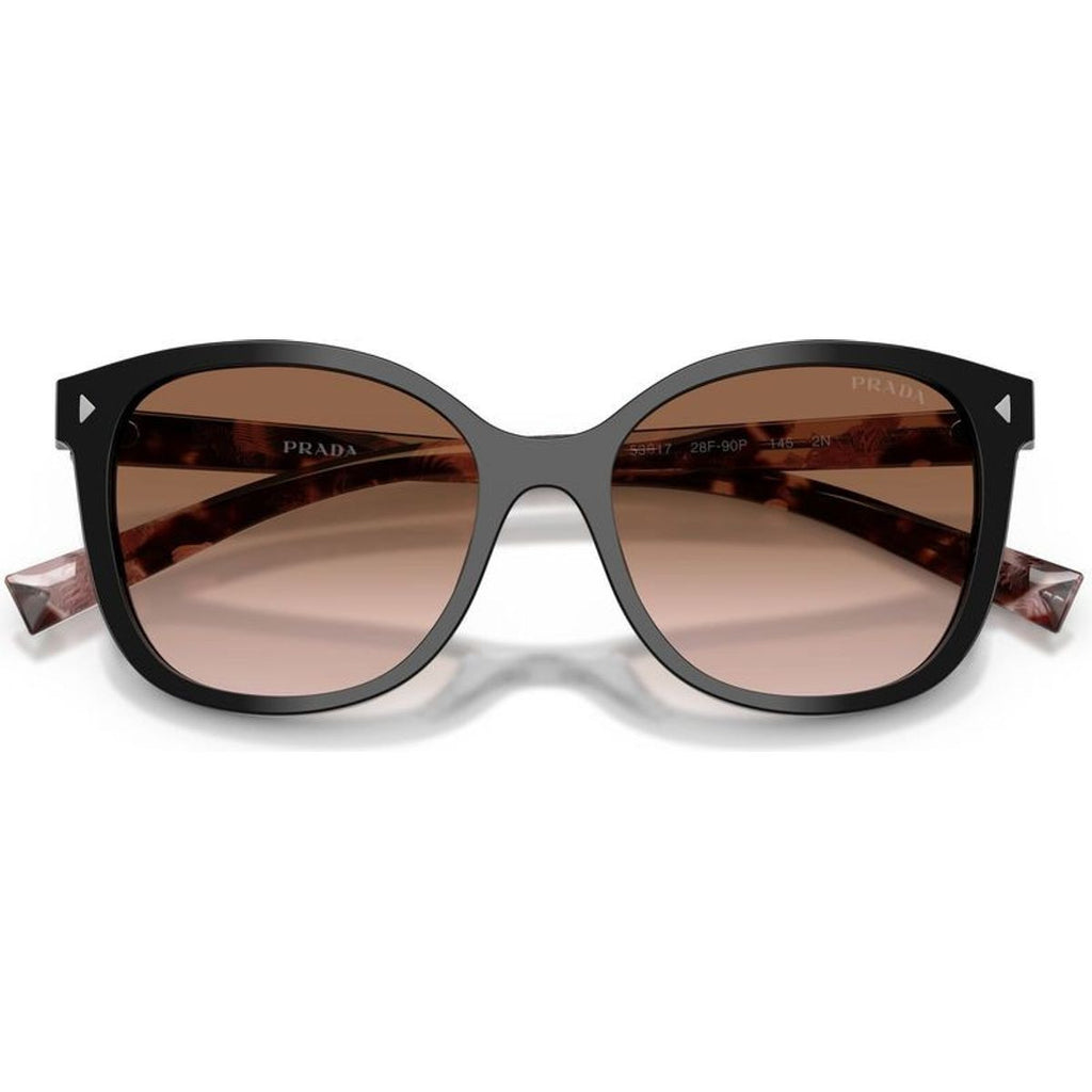 PR22ZS, Black/Brown Gradient Lenses