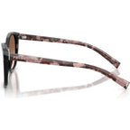 PR22ZS, Black/Brown Gradient Lenses