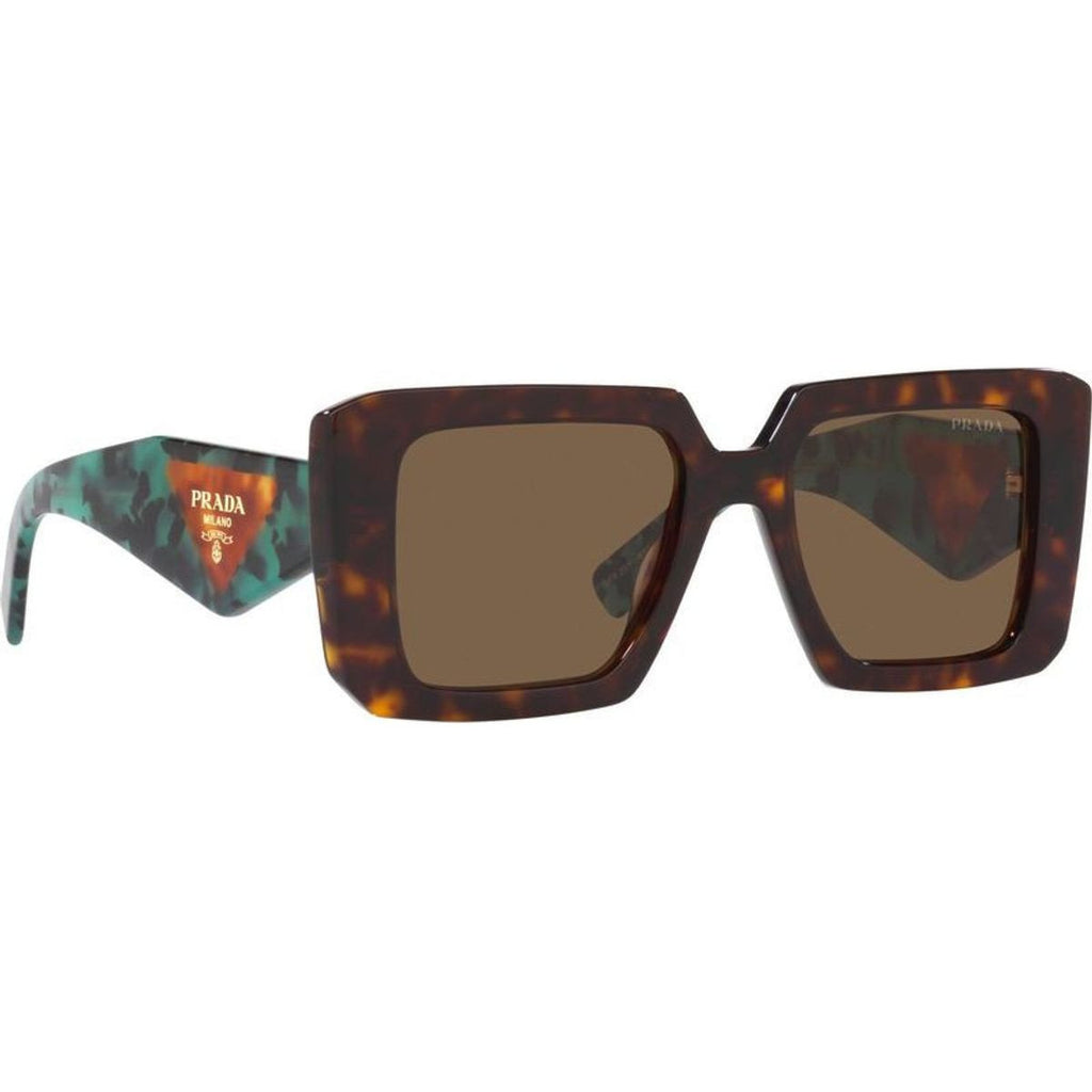 PR23YS, Tortoise/Dark Brown Lenses