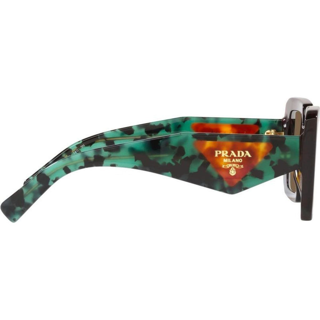 PR23YS, Tortoise/Dark Brown Lenses