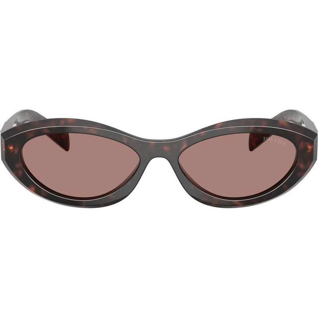 PR26ZS, Root Tortoise/Light Brown Lenses