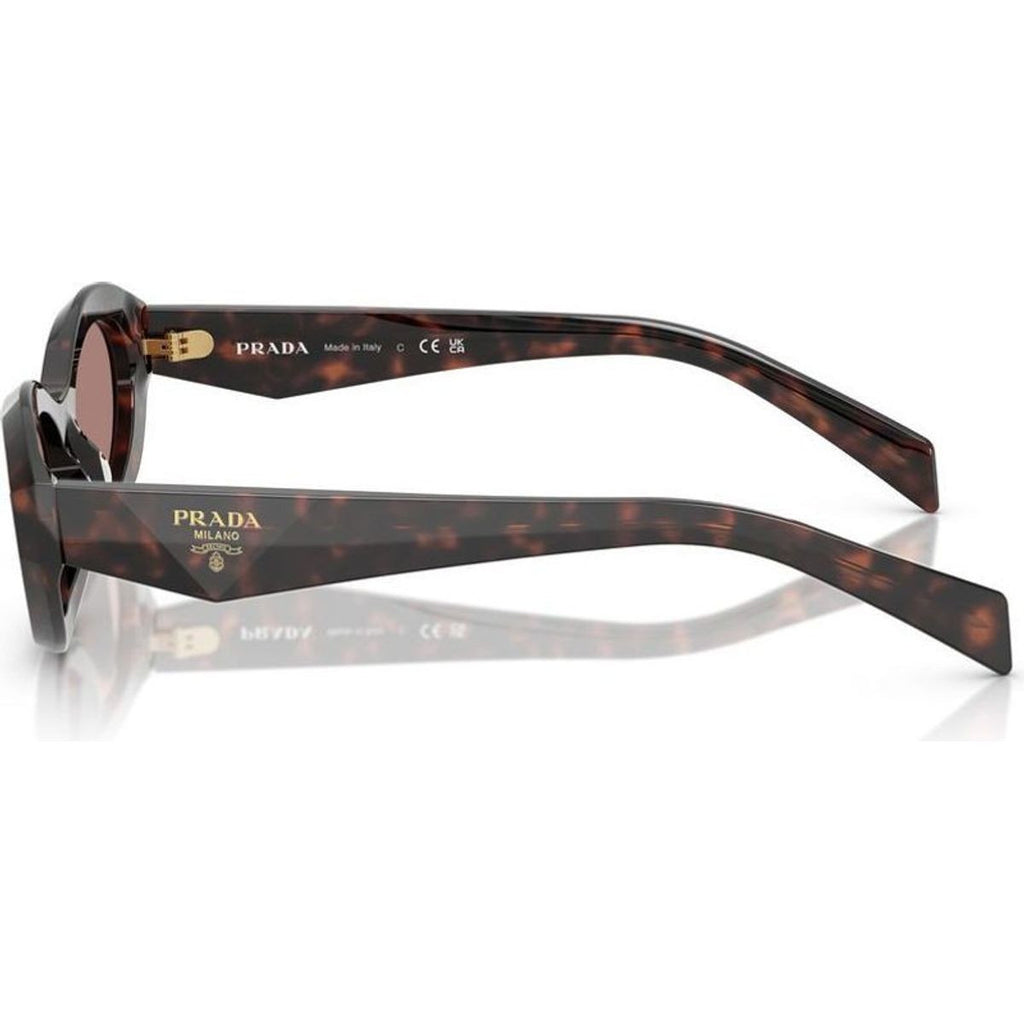 PR26ZS, Root Tortoise/Light Brown Lenses