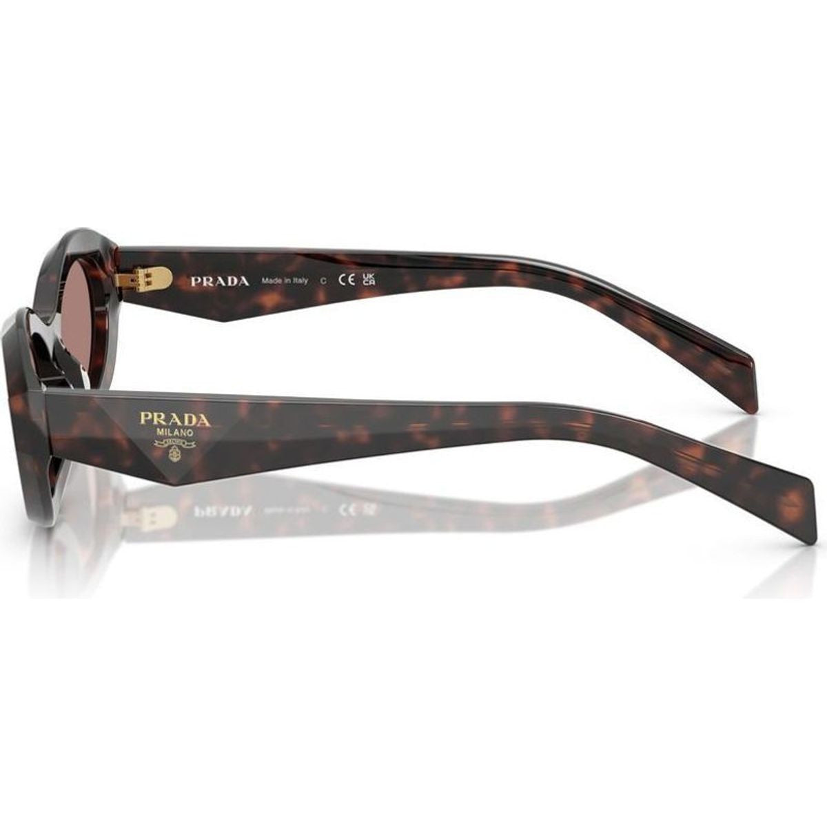 PR26ZS, Root Tortoise/Light Brown Lenses