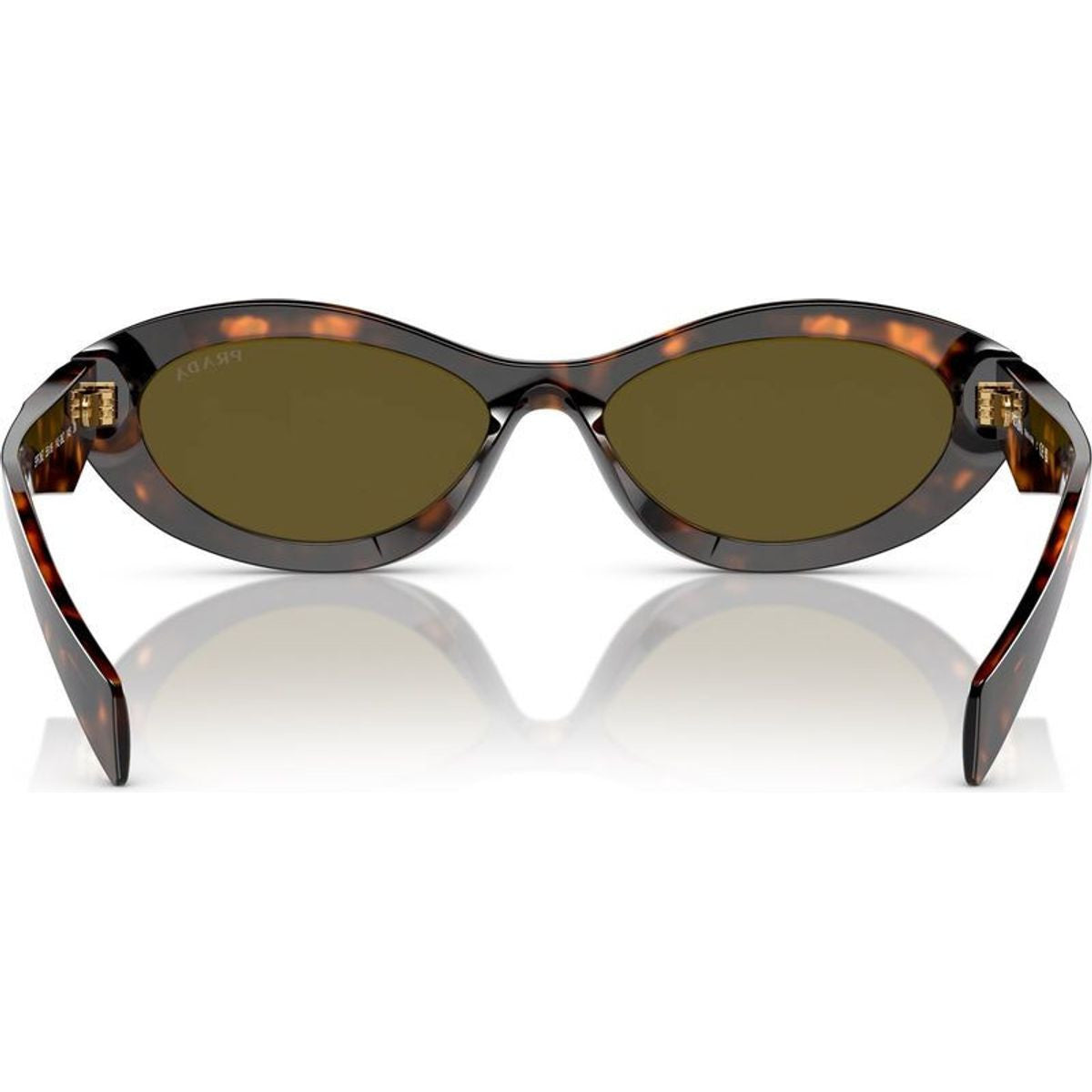 PR26ZSF, Sage and Honey Tortoise/Dark Brown Lenses