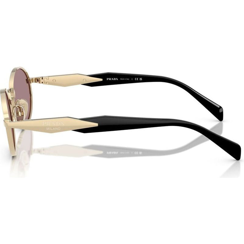 PR65ZS, Pale Gold/Light Purple Brown Lenses