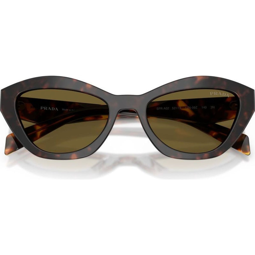 PRA02S, Root Tortoise/Dark Brown Lenses