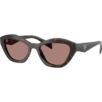 PRA02S, Root Tortoise/Light Brown Lenses
