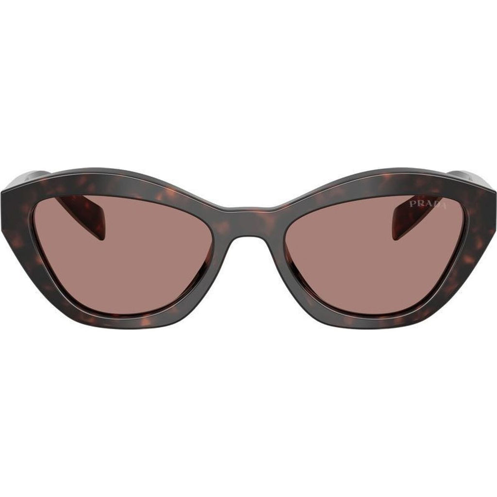 PRA02S, Root Tortoise/Light Brown Lenses
