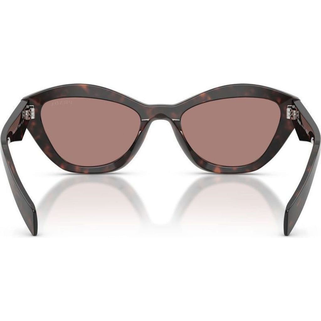 PRA02S, Root Tortoise/Light Brown Lenses