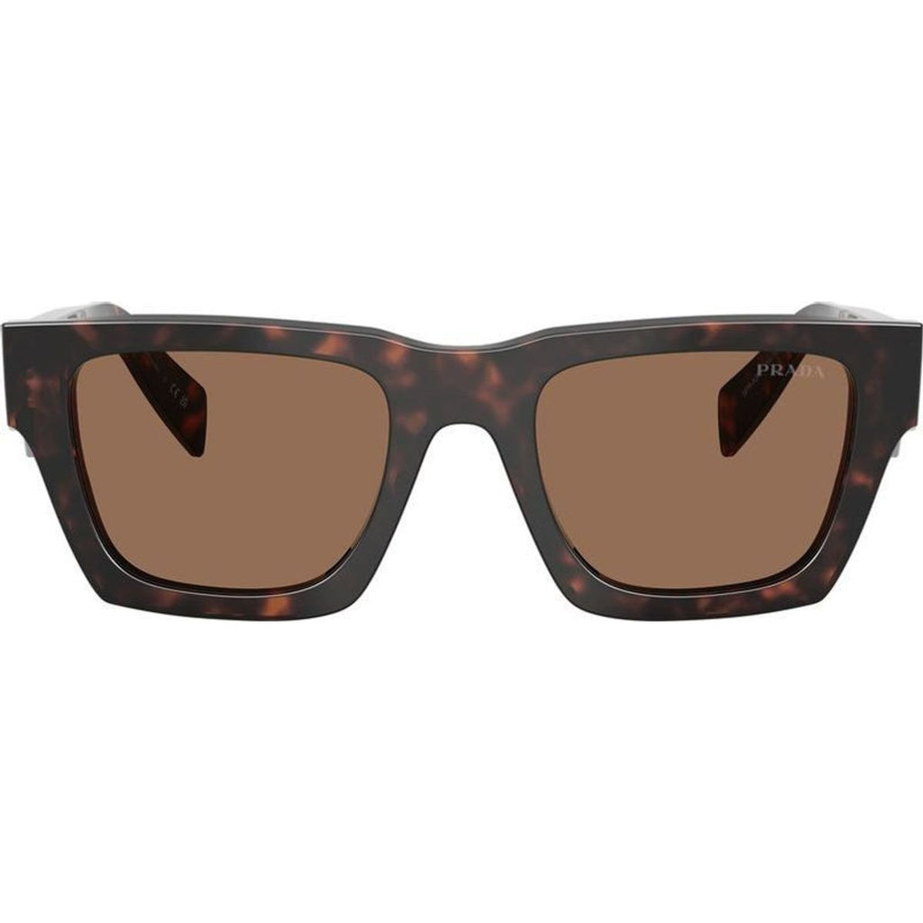 PRA06SF, Root Tortoise/Dark Brown Lenses