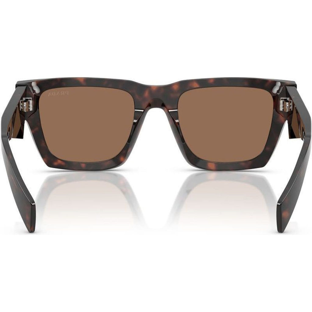 PRA06SF, Root Tortoise/Dark Brown Lenses