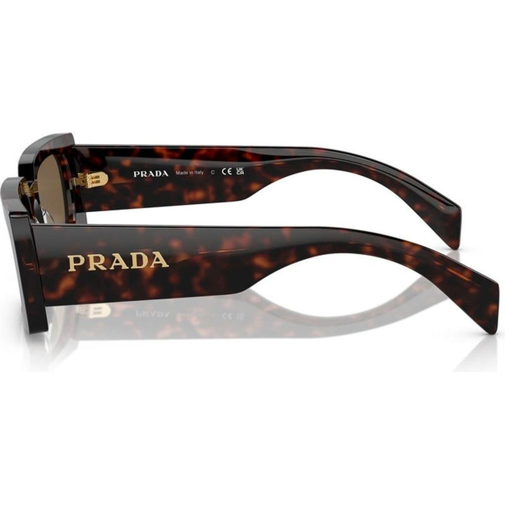 PRA07SF, Briar Tortoise/Dark Brown Lenses