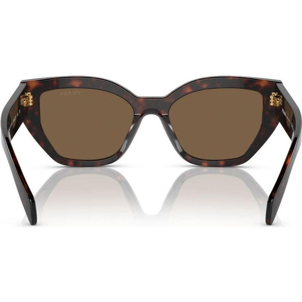 PRA09S, Briar Tortoise/Dark Brown Lenses