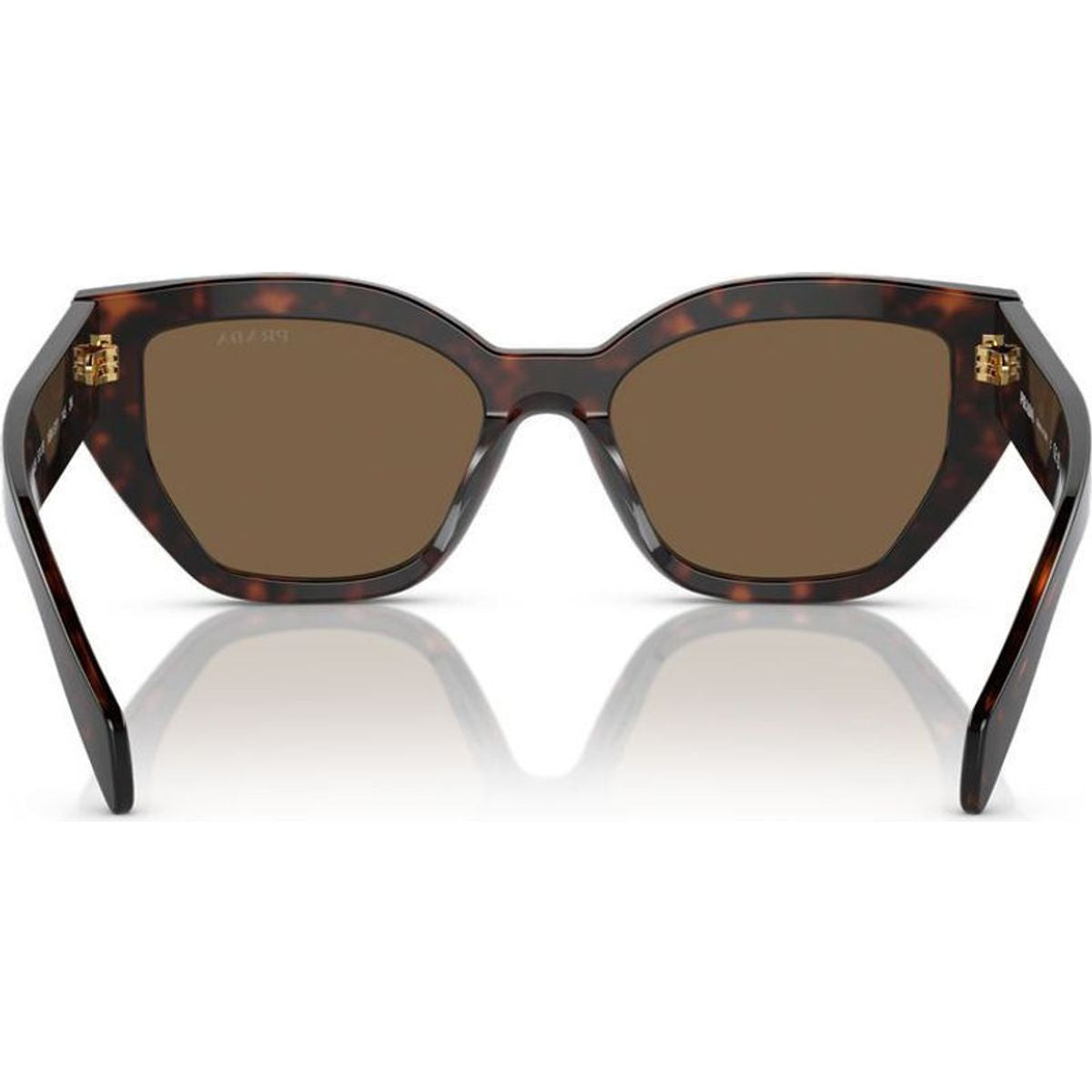 PRA09S, Briar Tortoise/Dark Brown Lenses