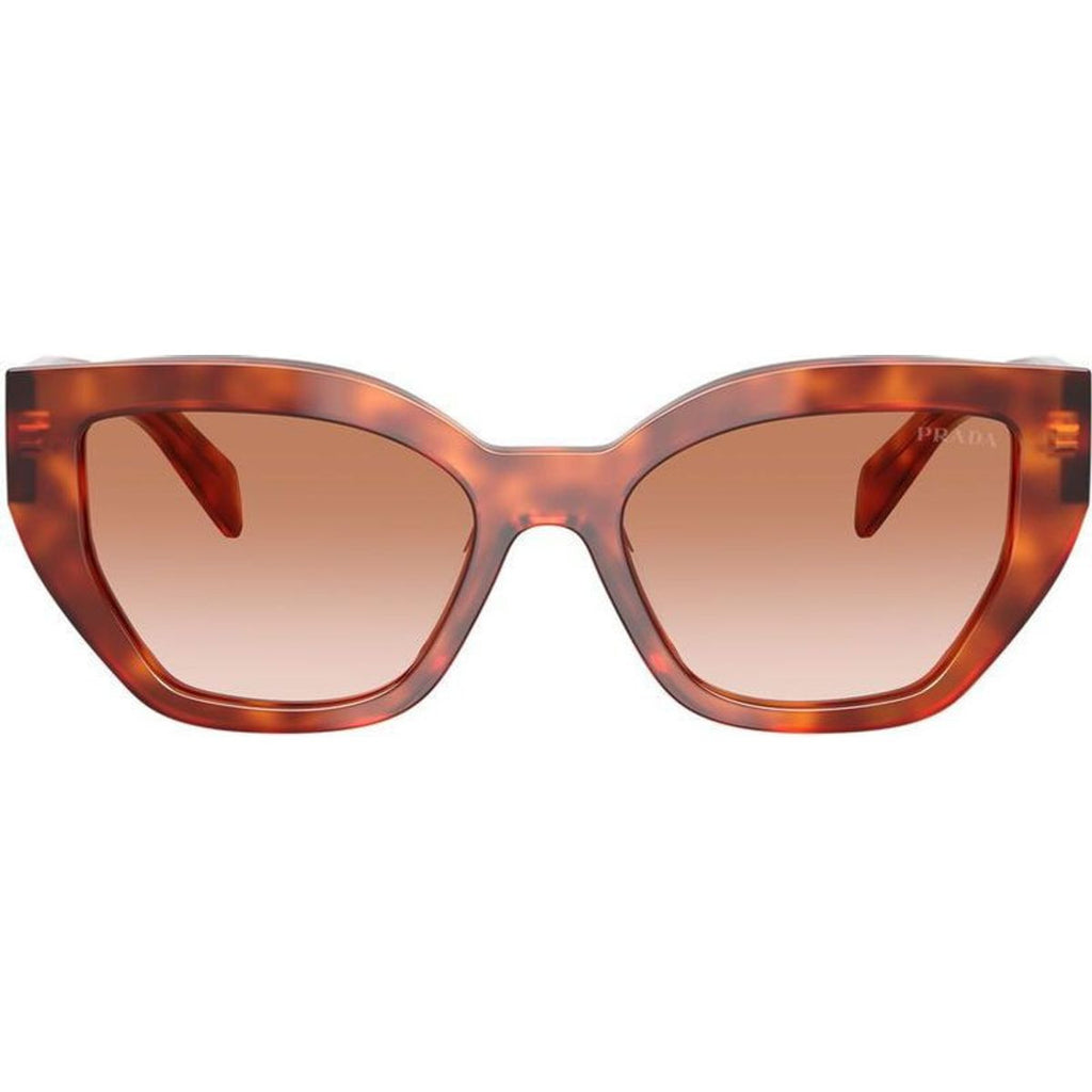 PRA09S, Cognac Tortoise/Brown Gradient Lenses