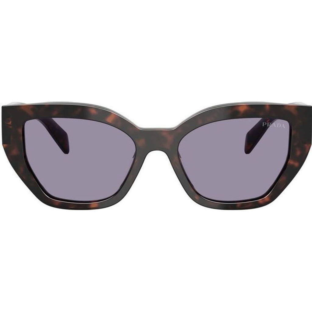 PRA09S, Root Tortoise/Grey Lenses
