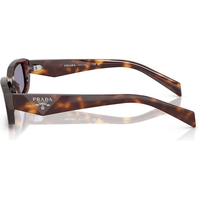PRB06S, Classic Tortoise/Grey Lenses