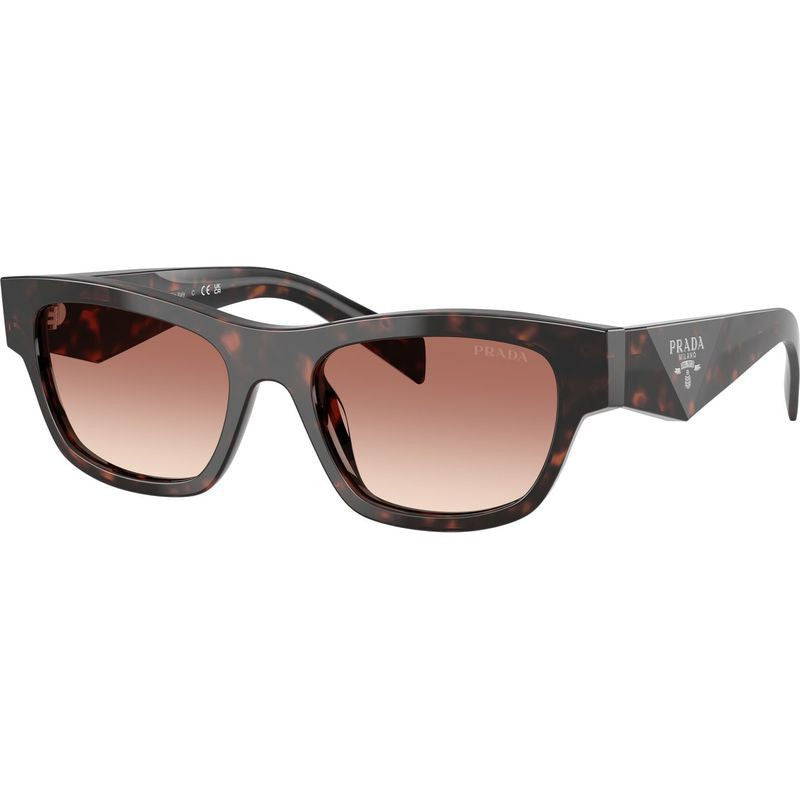 PRB09S, Root Tortoise/Light Brown Bordeaux Gradient Lenses 52 Eye Size