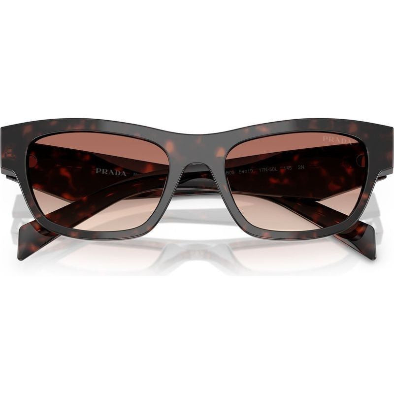PRB09S, Root Tortoise/Light Brown Bordeaux Gradient Lenses 52 Eye Size