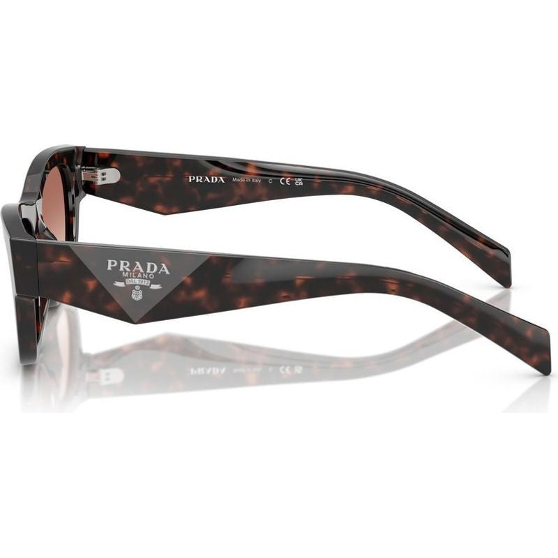 PRB09S, Root Tortoise/Light Brown Bordeaux Gradient Lenses 52 Eye Size