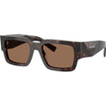 PRB17S, Root Tortoise/Dark Brown Lenses