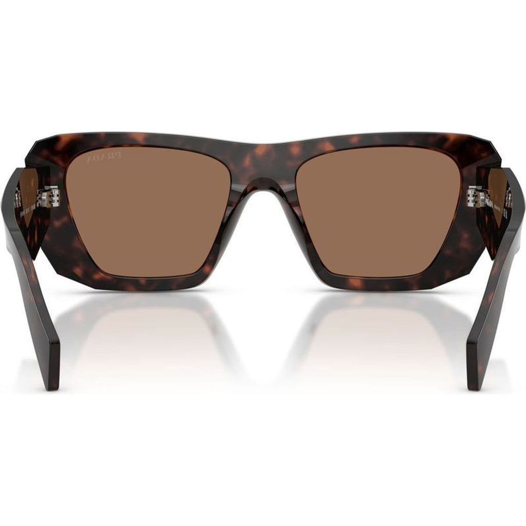 PRB18SF, Root Tortoise/Dark Brown Lenses