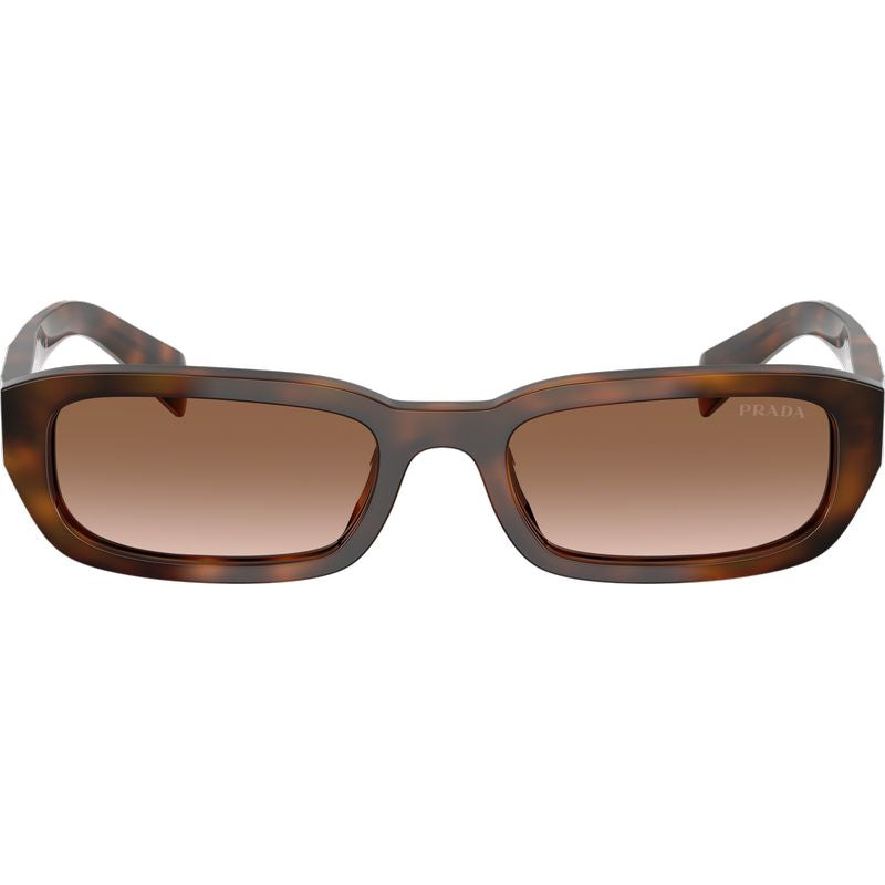 Prada PRB06S Juniper Tortoise Brown Gradient Front